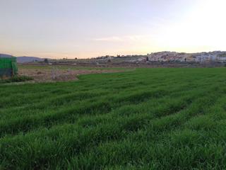 Terreno residencial en Residencial Triana - Barrio Alto. Venta de finca en las gabias