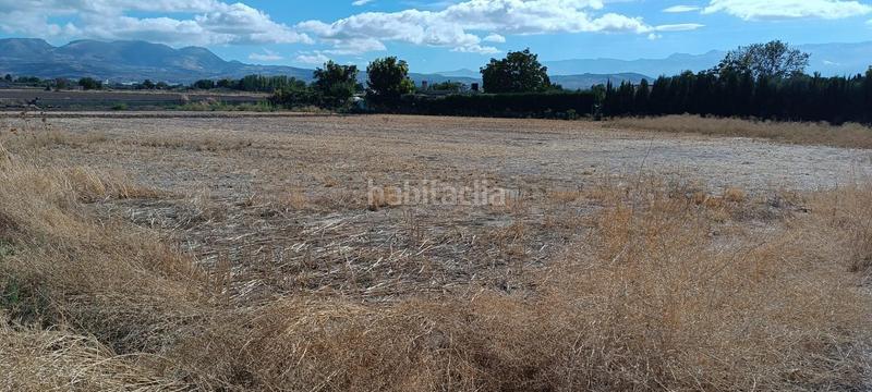 Foto 70f39922-15e6-4bf4-ab90-034c5c3641f7. Fondo rustico in Albolote