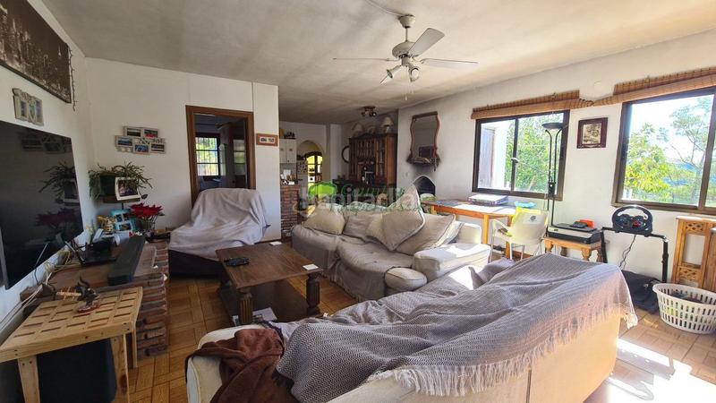 Foto 26ef301d-5c13-41a2-ba28-a8e308de30e2. Geschäftsraum in Cómpeta