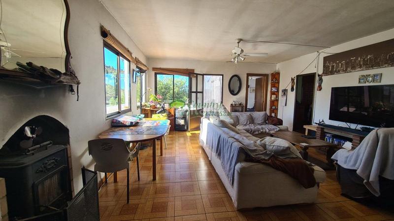 Foto 6ced684d-9415-4656-b8a6-cccaa42ba1e6. Geschäftsraum in Cómpeta