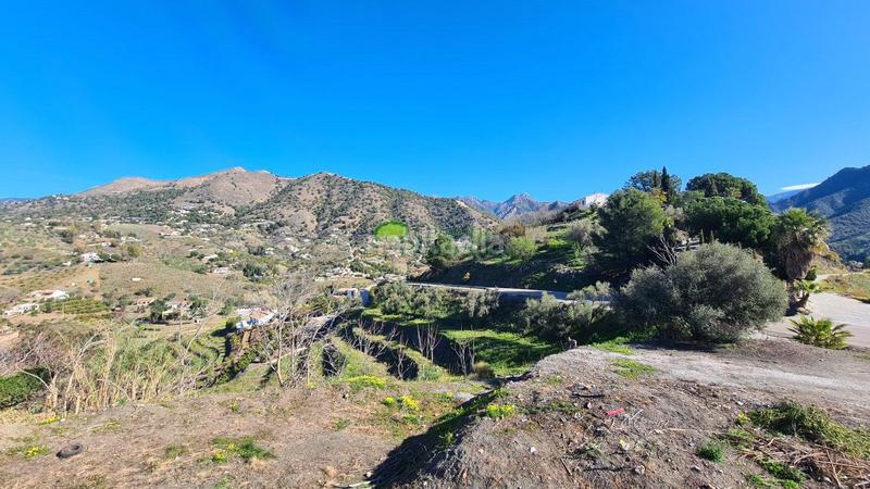 Foto 8907a018-aab2-4bdc-b1c8-a18983e29a8b. Geschäftsraum in Cómpeta