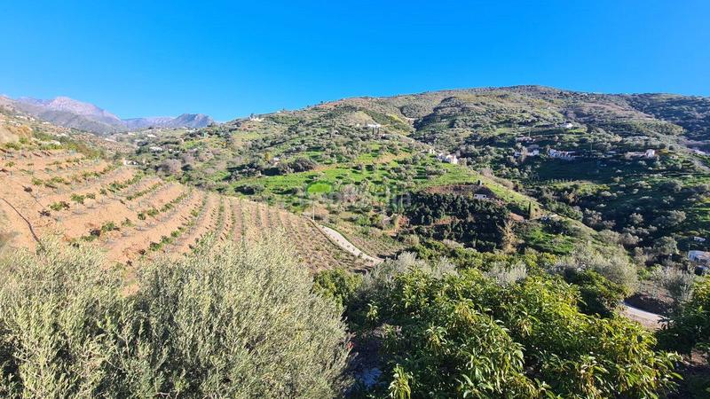 Foto ad02e0bb-a40e-4752-83a7-1a278bd06898. Masía casa de campo en venta , 2 dormitorios. en Cómpeta