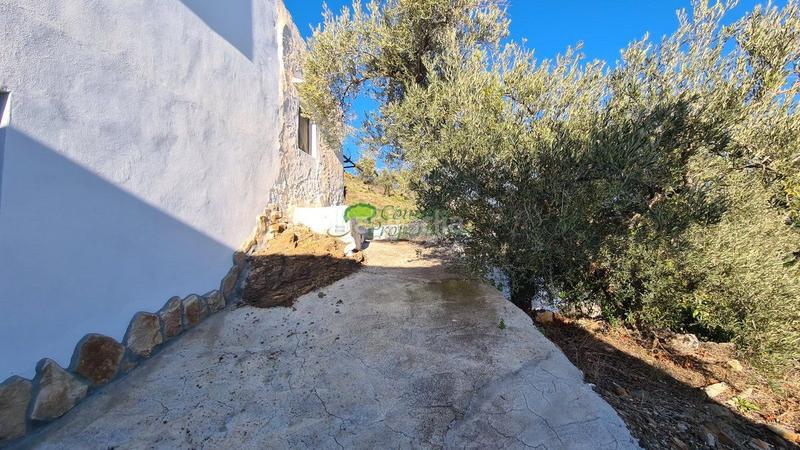 Foto b7325370-534c-4f84-95dc-49871030d535. Masía casa de campo en venta , 2 dormitorios. en Cómpeta