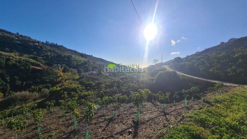 Foto cac363a0-1006-4975-9130-5c6f3f65a14c. Masía casa de campo en venta , 2 dormitorios. en Cómpeta