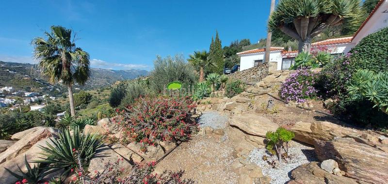 Foto 371d7d96-df9f-40cc-98c2-20588409f8bf. Masía casa de campo en venta , 5 dormitorios. en Torrox pueblo Torrox