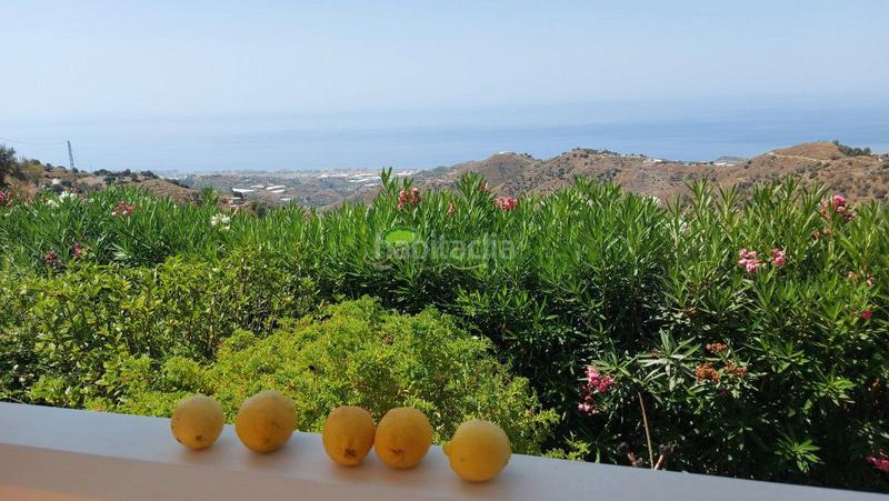 Foto 651486c1-1575-4092-85af-0d6e8cf6848c. Masía casa de campo en venta , 3 dormitorios. en Torrox pueblo Torrox