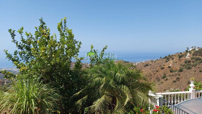 Foto 86a9eefa-5e8c-440d-84a6-5e5111e900b8. Masía casa de campo en venta , 3 dormitorios. en Torrox pueblo Torrox