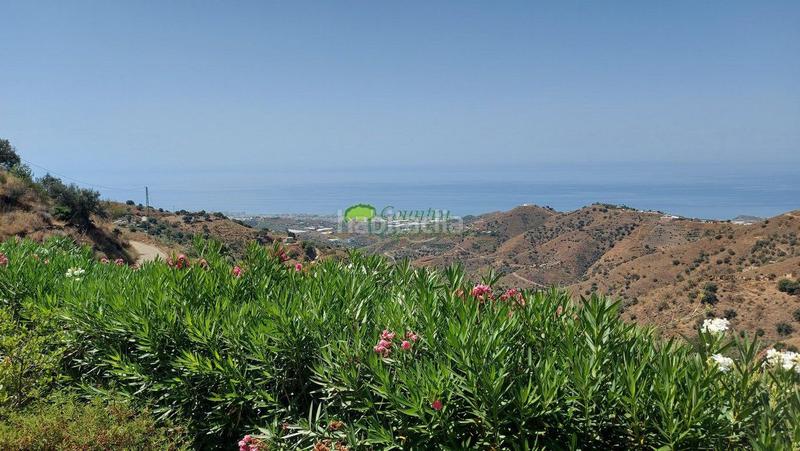 Foto c5a79a8e-6709-47ad-b6b4-f7b52a6dfa74. Masía casa de campo en venta , 3 dormitorios. en Torrox pueblo Torrox