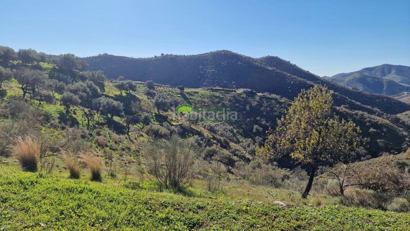 Foto 1a2e0bb8-5853-4816-9bba-cc2375dff6d7. Masia amb aparcament piscina a Sedella