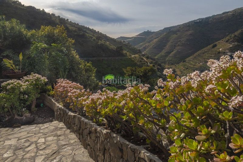 Foto b1caf81a-0340-4dd7-bc99-1ffe9a4af506. Masía casa de campo en venta , 6 dormitorios. en Sayalonga