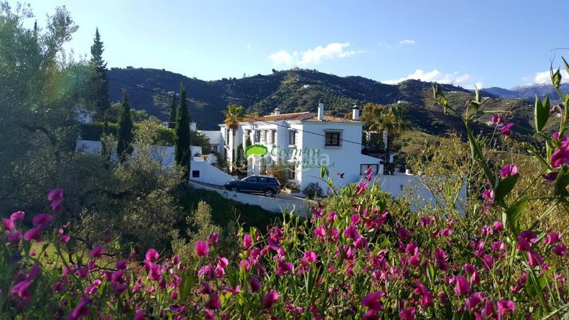 Foto 45736ae7-0777-4203-9cad-18e9e45bd3eb. Masia amb calefacció aparcament piscina a Torrox pueblo Torrox