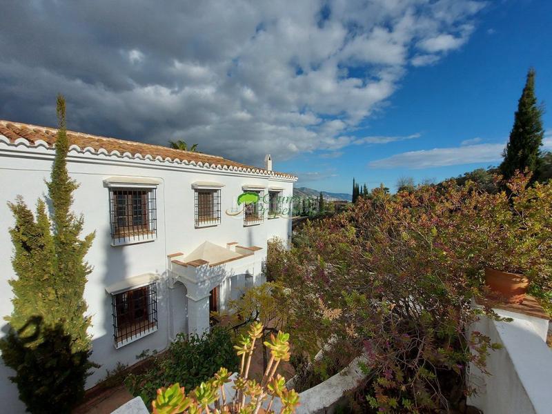 Foto b09d0d33-7bf6-43ee-80e2-8f7ad6d1862a. Masia amb calefacció aparcament piscina a Torrox pueblo Torrox