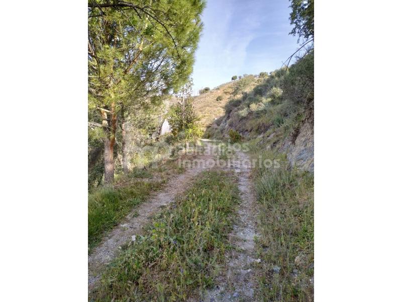 Foto 1f671ab2-adf8-40cf-99b6-9fac4bd6b255. Bauernhof in Hispanidad - Vivar Téllez Vélez - Málaga