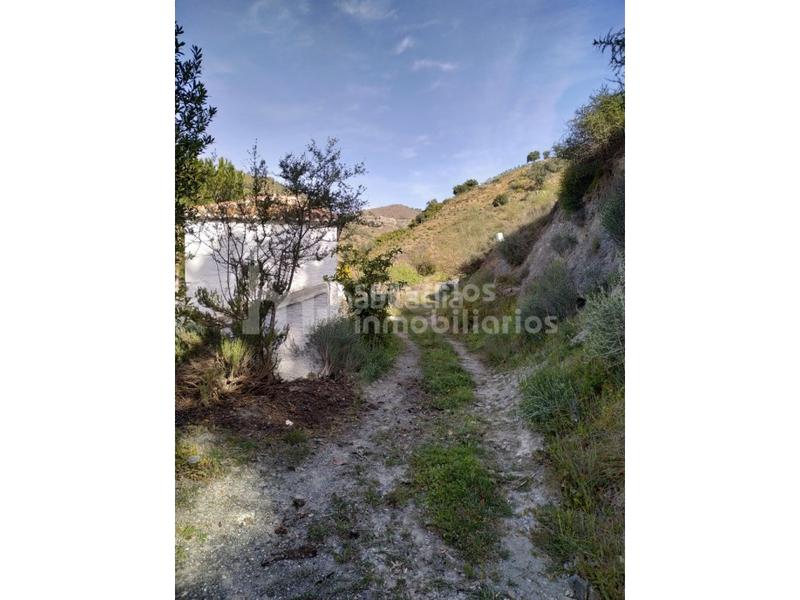 Foto 813ed46a-c8b7-4ac1-b1ed-b8f7f847d2c8. Bauernhof in Hispanidad - Vivar Téllez Vélez - Málaga