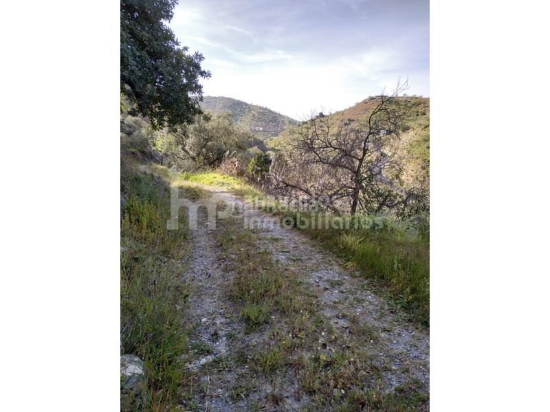 Foto 1adc59c5-8803-4f07-8652-1d688df962ff. Masia a Canillas de Aceituno