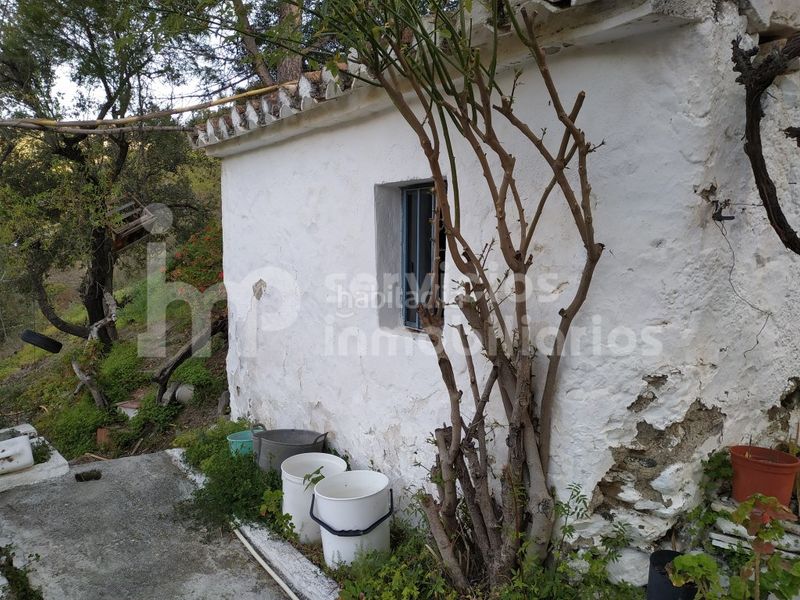 Foto a9edfca0-4e14-4ddc-a5a8-be5b9bce338b. Masia a Canillas de Aceituno