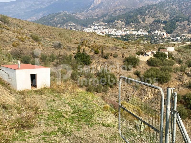 Foto 3bcb138a-b12d-497b-9c00-3ebe5c30d481. Masia a Canillas de Aceituno