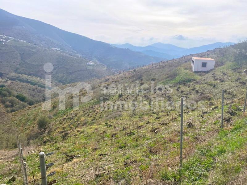 Foto c8d36e48-64d9-4d8a-a1a9-625a5947c50c. Masia a Canillas de Aceituno
