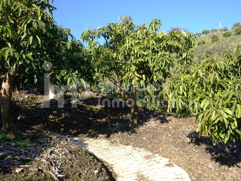 Foto f98275a3-7d26-4b7a-89fb-20306527cae5. Fondo rustico in Cútar