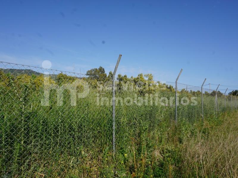 Foto 8ee39695-7913-4352-9109-0f991d71b4b5. Terreno residencial finca regadío de aguacates en producción en Vélez - Málaga