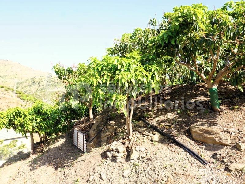 Foto ad4a4ef1-2b88-4087-bc90-c5dd1990264d. Masia amb aparcament a Centro Histórico Vélez - Málaga