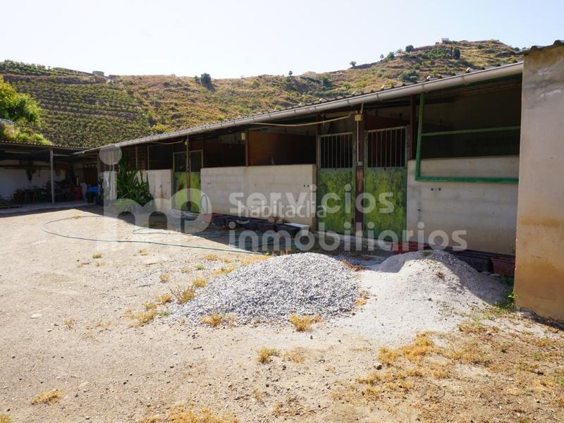 Foto f0825f01-8463-4601-83a9-2e5d1bbfea79. Masia amb aparcament a Centro Histórico Vélez - Málaga