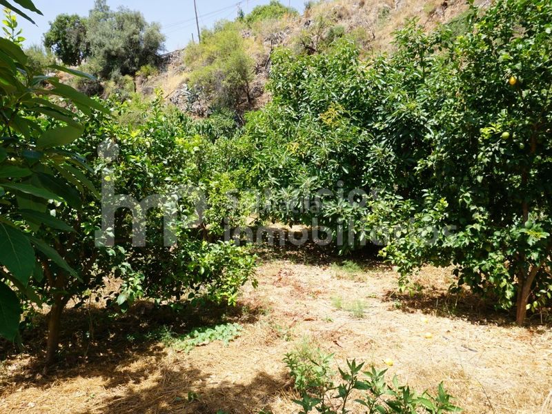 Foto c84c427a-9995-4b68-a3f4-7d65cad28b66. Finca rústica a Cútar