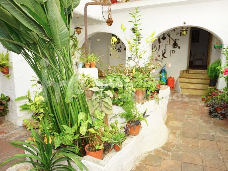 Foto bd2b6406-ca17-4114-ad03-fd9452da354b. Casa adossada a Benamocarra