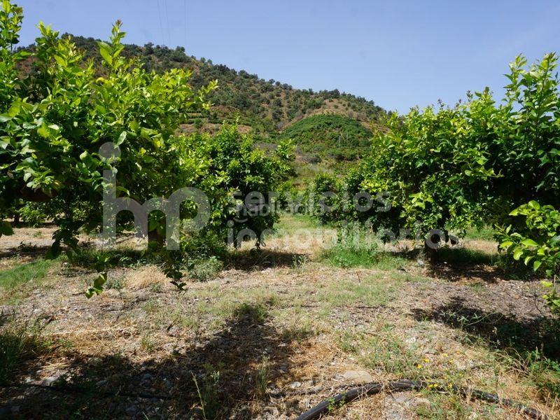 Foto d269a284-5376-4963-8416-be30a0a65ee3. Casa a Cútar