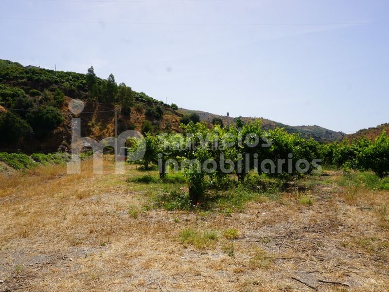 Foto de288f2d-d610-4fa6-8d84-0d97d2eaebaf. Casa a Cútar