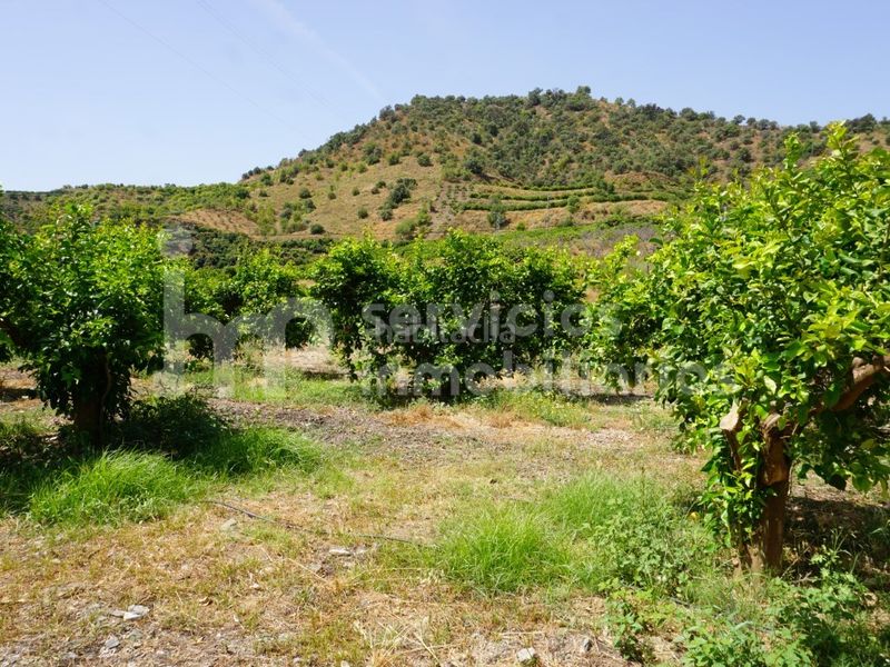 Foto ec798227-4966-4392-a027-b324eedcf6ae. Casa a Cútar
