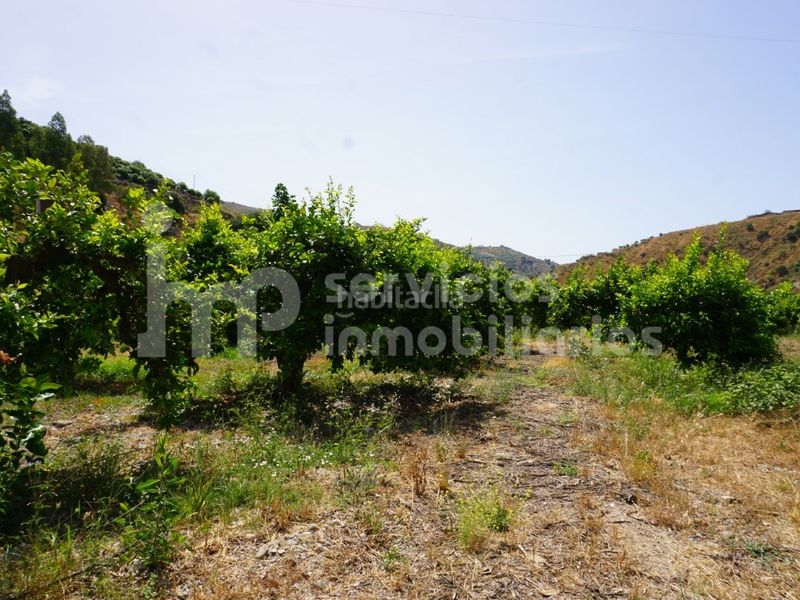 Foto ee1abb65-d044-4356-a0e9-d0aeeec62a25. Casa a Cútar
