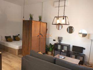 Rent Studio  Calle pico de las palomas. Estudio alquiler málaga