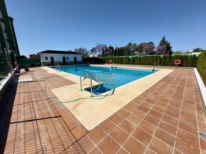 Foto e7b11264-e0cf-4f2d-9bd2-45a26a288a1d. Etagenwohnung mit parking pool in El Consul - Ciudad Universitaria - El Romeral Málaga