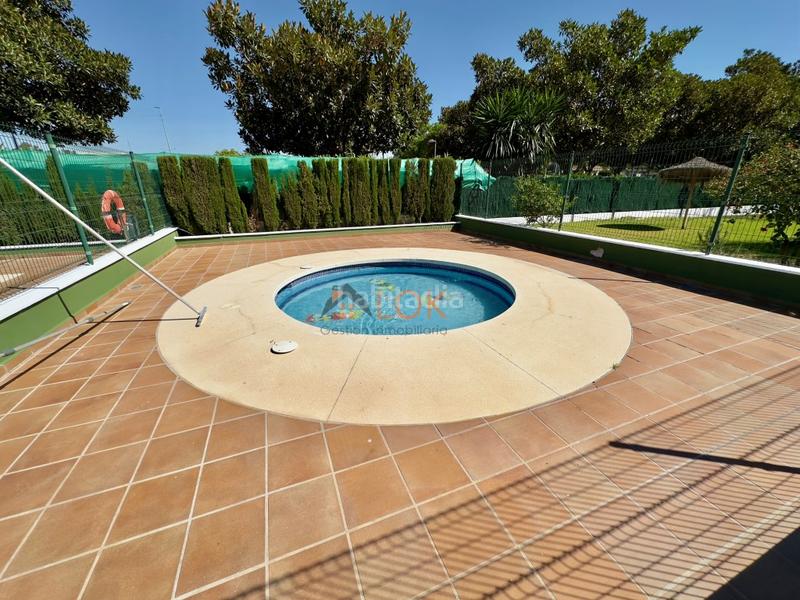 Foto ff8b50fa-0f20-4c73-8adb-68bd42e95ac9. Etagenwohnung mit parking pool in El Consul - Ciudad Universitaria - El Romeral Málaga