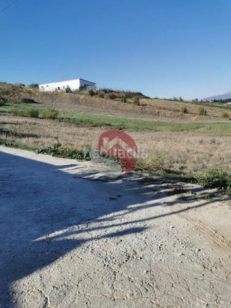 Foto c83d3cb5-6f40-42f8-9fa2-40a1934a1434. Finca rústica a Cártama