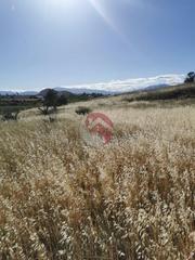 Rural plot in Centro