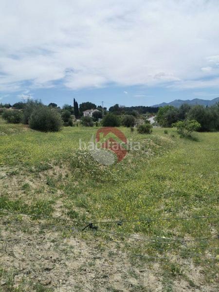 Foto 6a918051-1e97-45ef-8865-ac66775c42c0. Landgut in Centro Alhaurín el Grande