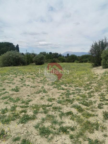 Foto 3734796a-0c62-4c3c-8780-2d43e07d7d6a. Propriété dans Centro Alhaurín el Grande