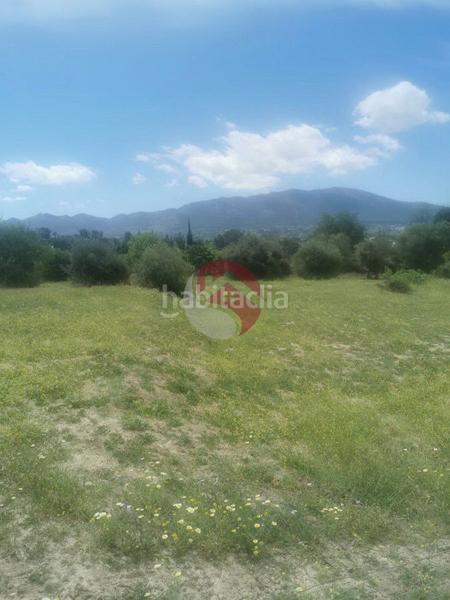 Foto 3aae13de-1636-4e59-b40c-2088cd46fbd4. Propriété dans Centro Alhaurín el Grande