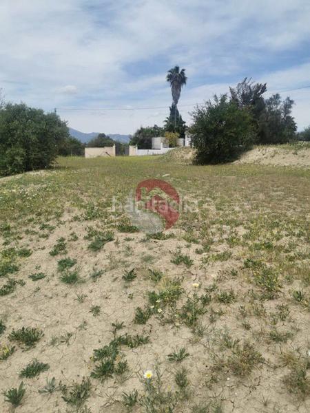 Foto 537b8fb1-10e8-4e38-b3c4-61e813337c93. Propriété dans Centro Alhaurín el Grande