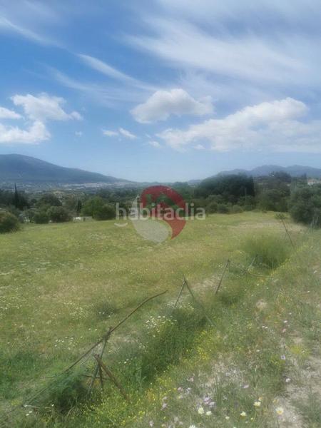 Foto 8c7129cf-cfb2-44a3-a80d-4b7f6a0aef9f. Propriété dans Centro Alhaurín el Grande