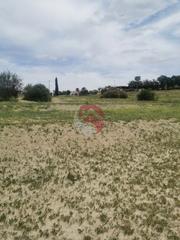 Rural plot in Centro