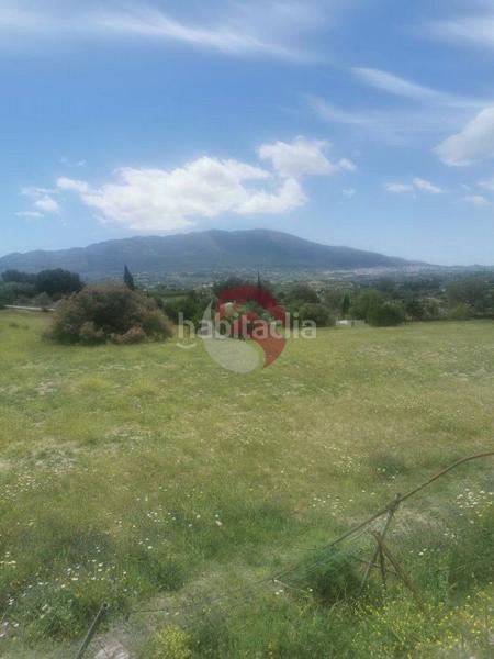 Foto 25054811-16d8-452e-900b-023408c27921. Finca rústica a Centro Alhaurín el Grande