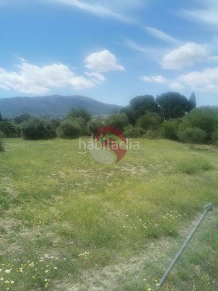 Foto 53a29caf-a692-4495-8c46-aa7ceaf4b032. Finca rústica a Centro Alhaurín el Grande