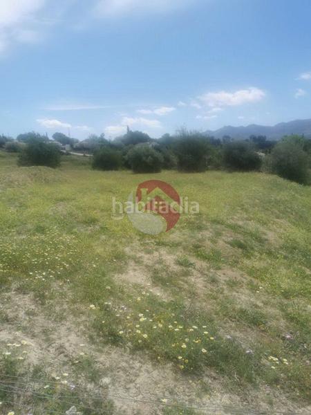 Foto 7fcbe5d7-a2c3-4613-847a-31ef85ed5921. Finca rústica a Centro Alhaurín el Grande