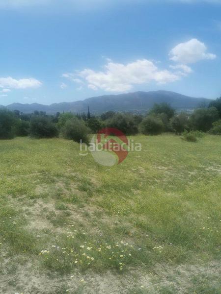 Foto cef90596-60c4-46ac-812e-5bee028db187. Finca rústica a Centro Alhaurín el Grande