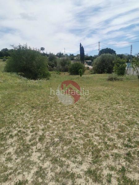 Foto e04c5218-9e9f-4f53-bb35-bace0d560a61. Finca rústica a Centro Alhaurín el Grande