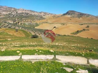 Fondo rustico in Álora
