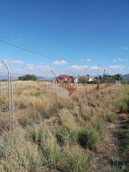 Foto 59d0fd0d-c904-4c36-a2d4-5d757c8b6145. Fondo rustico in Centro Alhaurín el Grande